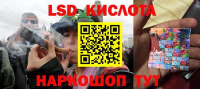прущие грибы Шелехов