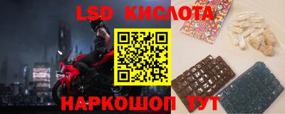 ГАЛЛЮЦИНОГЕННЫЕ ГРИБЫ Шебекино