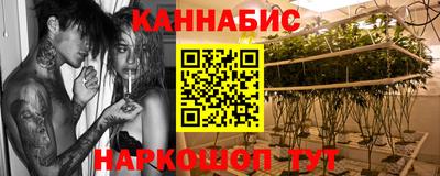 прущие грибы Шелехов