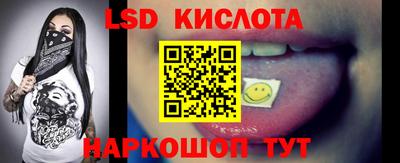 прущие грибы Шелехов