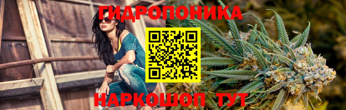 Великие Луки  Каннабис MAZAR  Канабис семена  Вход с VPN  Бошки Шишки AK-47 